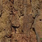 Пробковое покрытие   Decorative cork wall PB-W Хорта (Horta)